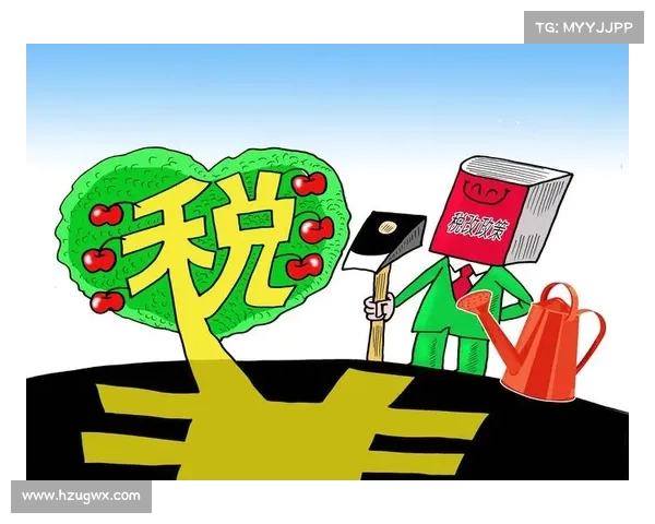 罕见!税改大招震撼发布,企业与个人如何应对新变化?(税改新政策) 罕见!税改大招震撼发布,企业与个人如何应对新变化?(税改新政策)